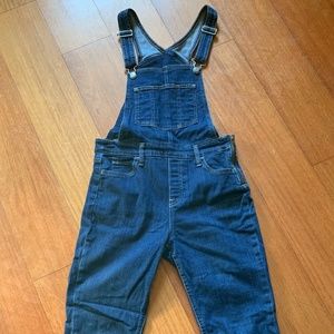 Levi's Skinny Overalls